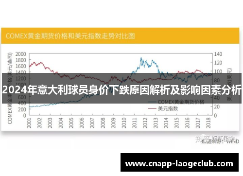 2024年意大利球员身价下跌原因解析及影响因素分析