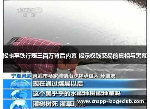 揭露李铁行贿三百万背后内幕 揭示权钱交易的真相与黑幕