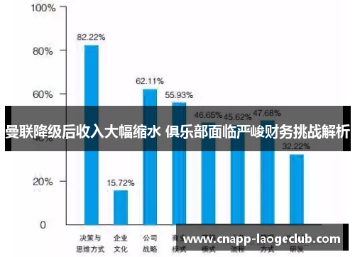 曼联降级后收入大幅缩水 俱乐部面临严峻财务挑战解析
