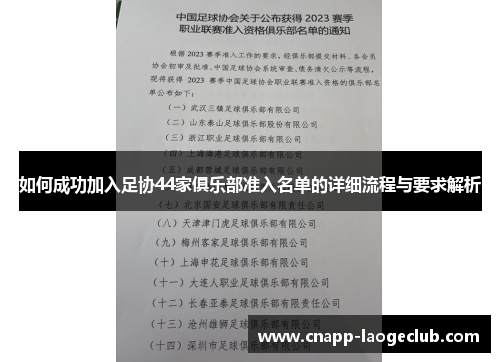 如何成功加入足协44家俱乐部准入名单的详细流程与要求解析