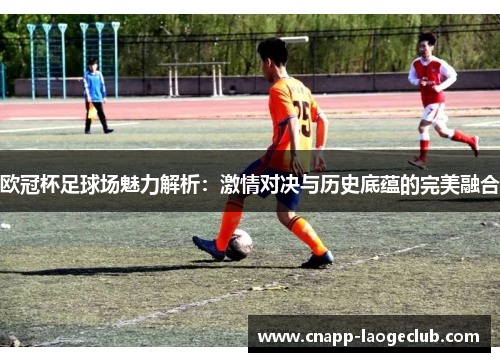 欧冠杯足球场魅力解析：激情对决与历史底蕴的完美融合