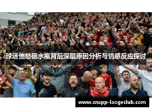 球迷愤怒砸水瓶背后深层原因分析与情感反应探讨