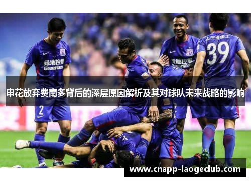 申花放弃费南多背后的深层原因解析及其对球队未来战略的影响