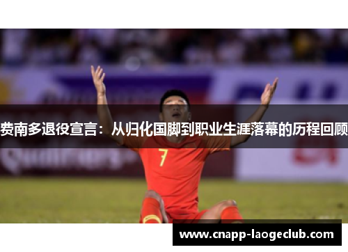 费南多退役宣言：从归化国脚到职业生涯落幕的历程回顾