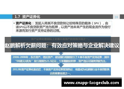赵鹏解析欠薪问题:有效应对策略与企业解决建议