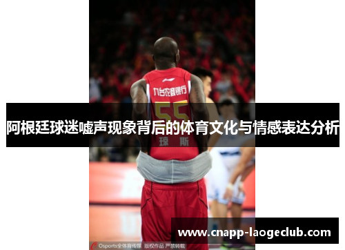 阿根廷球迷嘘声现象背后的体育文化与情感表达分析