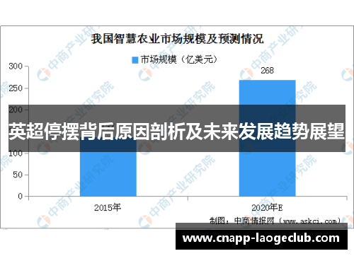 英超停摆背后原因剖析及未来发展趋势展望 英超停摆背后原因剖析及未来发展趋势展望