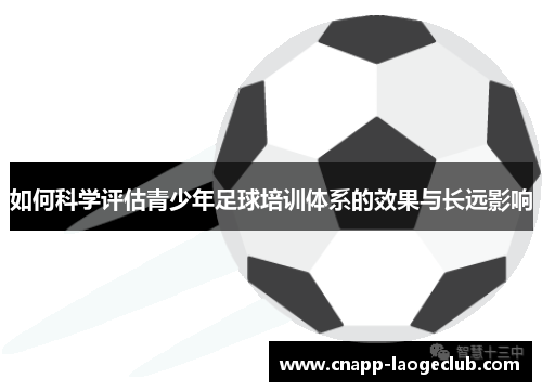 如何科学评估青少年足球培训体系的效果与长远影响