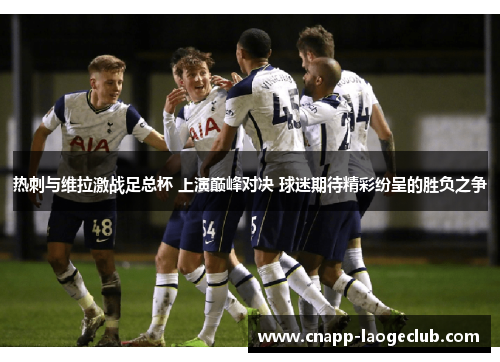 热刺与维拉激战足总杯 上演巅峰对决 球迷期待精彩纷呈的胜负之争