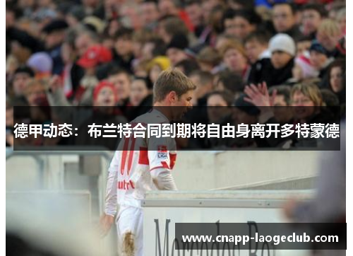 德甲动态:布兰特合同到期将自由身离开多特蒙德 德甲动态:布兰特合同到期将自由身离开多特蒙德