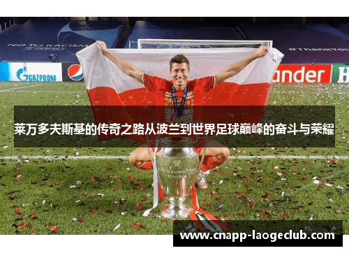 莱万多夫斯基的传奇之路从波兰到世界足球巅峰的奋斗与荣耀